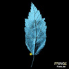 Fringe Symbol Blatt