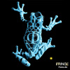 Fringe Symbol Frosch